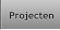 Projecten Projecten