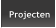 Projecten Projecten